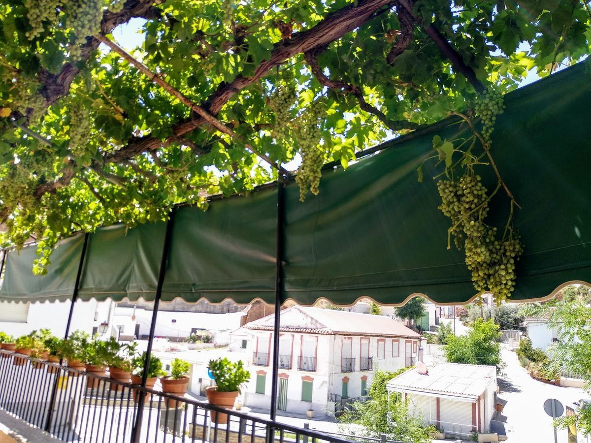 Pension Mari Graena Exterior photo